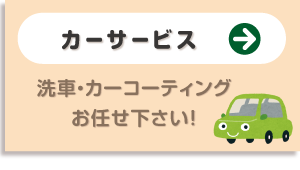 RX̐ԁEJ[T[rX